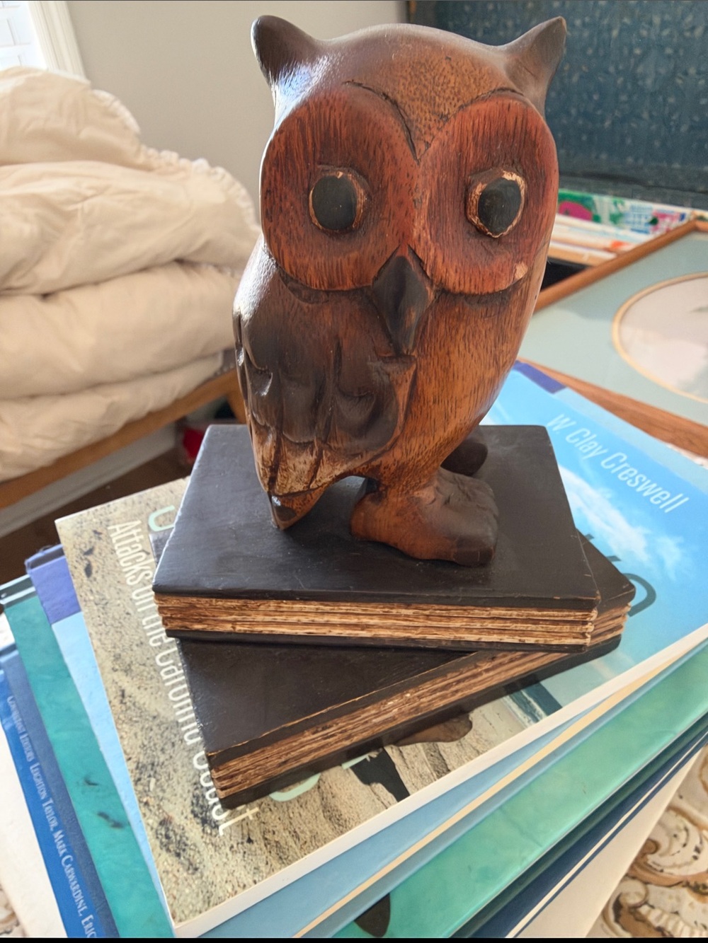 Cute owl with books wood